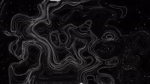 Animated Monochrome Abstract Fluid Lines Motion Background