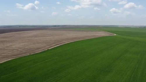 Aerial view of green blooming agricultural fields outdoors at daytime