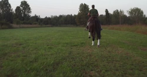 Slow motion of young carefree male is riding a purebred brown horse in nature on a sunset.