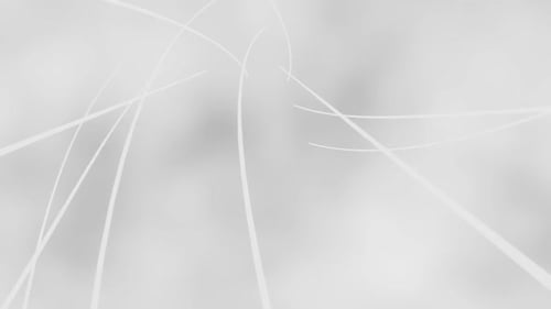 Abstract Painting Art Lights Animation