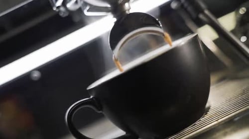 Pouring coffee stream from professional machine in cup. using filter holder. 120F