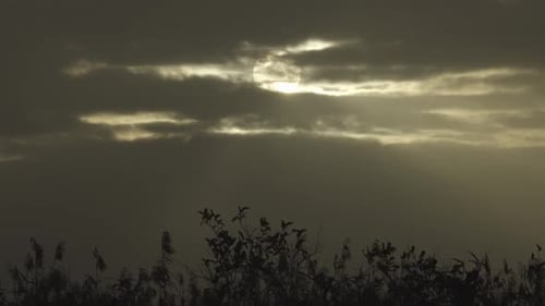 Sonne und Wolken mit Laub, Silhouette, Landschaft, Zeitraffer