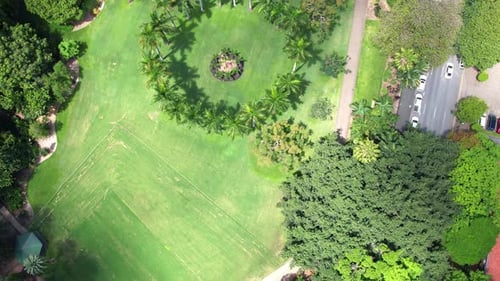 Drone View of Foster Botanical Garden in Honolulu, Hawaii
