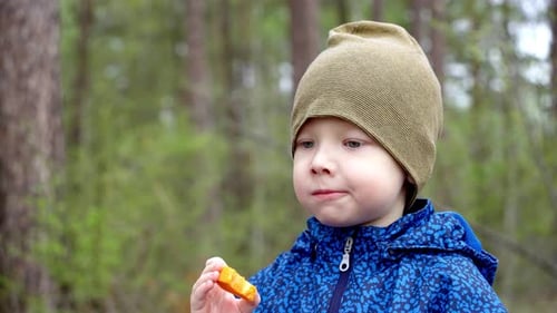 Portrait of a boy chewing carrots in the forest during a family picnic.
