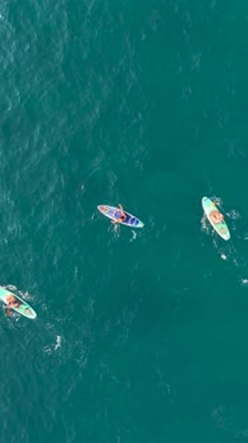 Vertical Video Summer SUP Festival on the Mediterranean Coast with People Paddling and Relaxing By