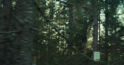 Radfahrer fahren Gravel in Woods Story