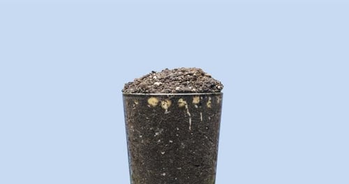 Time Lapse of Seeds Germinating in Soil