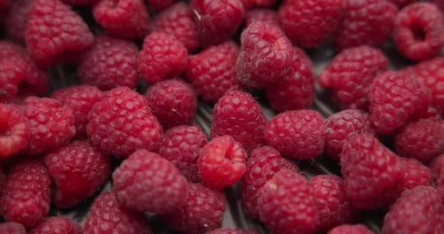 Gesunder Bio-Makro-Hintergrund mit frischen saftigen Himbeerbeeren