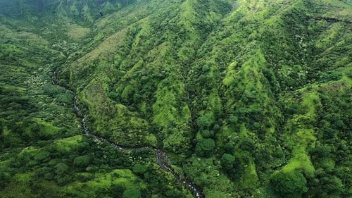 Aerial View of Rolling Hills and Green Landscape with River in Kauai Hawaii