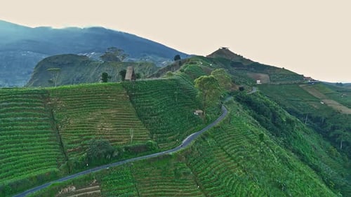 Aerial view of hills layered with winding roads in hill valleys and vegetable plantations