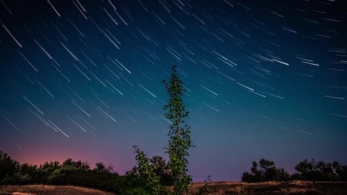 Zeitraffer mit Steppenpanorama mit Curly Startrails