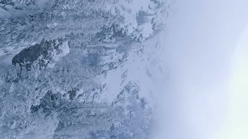 Gefrorene Baumwipfel auf dem Berggipfel Vertikales Video Winter Schöne verschneite Berglandschaft