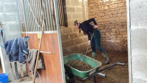 Woman Cleaning Horse Stall in Rural Stable