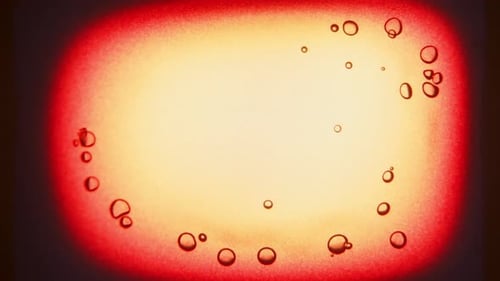 Textured Backdrop with Bubbles