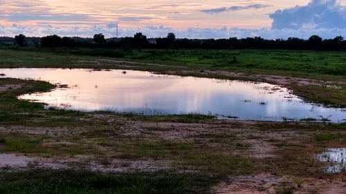 A pond with a reflection of the sky