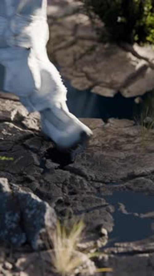 Astronaut Foot Print 3D Animation