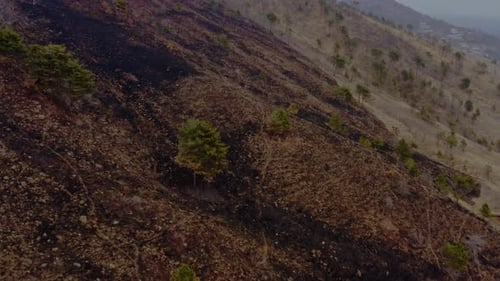 Burnt Mountain Aftermath: Wildfire Devastation Seen From Above