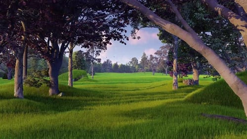 Garden sunlight in the morning