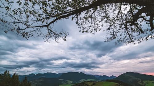 Dramatic Grey Clouds Sky Moving Above Green Countryside Nature, View Under Tree Branches Time Lapse