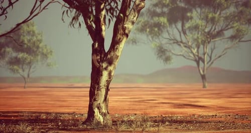 Vast Australian Outback Under a Clear Blue Sky at Dusk