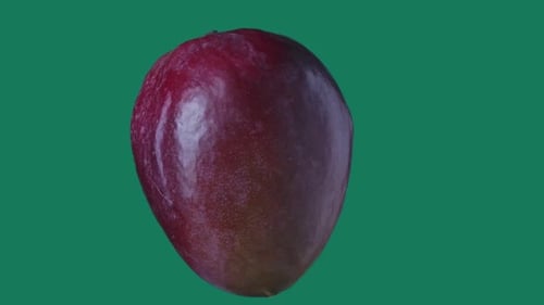 Healthy Food Advertisement Creative Concept Closeup Shot of Mango Rotating Suspended with All Angles