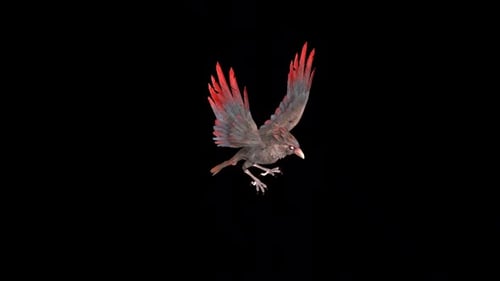 Artistic Raven Flying Animation Loop
