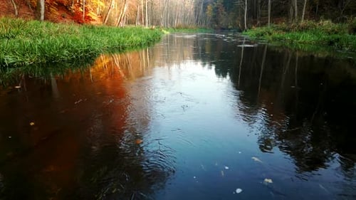 Drone flight over the river's surface, with colorful autumn trees of the forest reflected in the wat