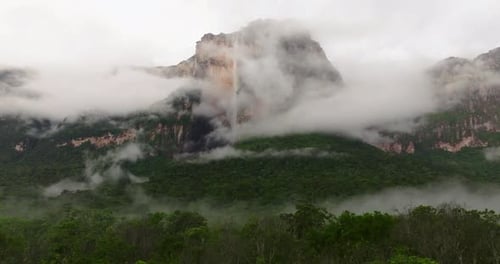 Une brume mystique enveloppe les anciens sommets d'une forêt tropicale cachée
