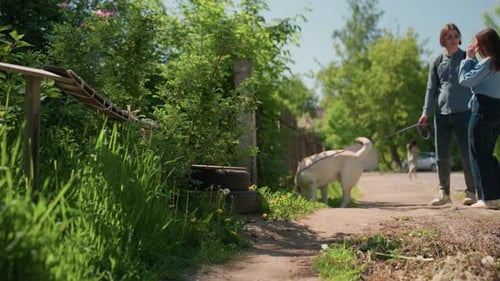 Couple Walking Dog Along Path in Countryside Leashed Canine Sniffing Grasses Lush Greenery Rustic