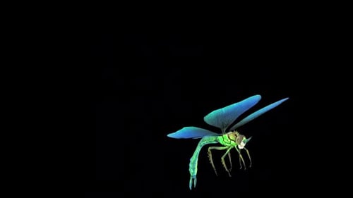 Blue Dragonfly Attack Idle 2