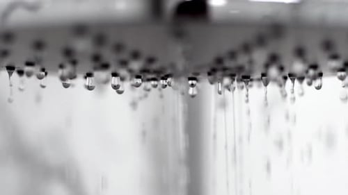 Shower Head Sprays Fresh Water
