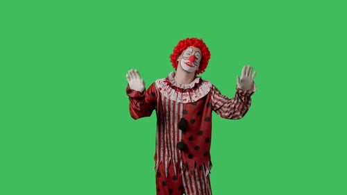 Funny Clown on Green Screen Chroma Key