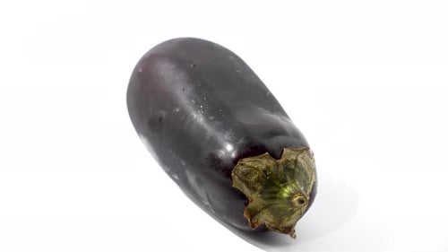 Side view of eggplant.