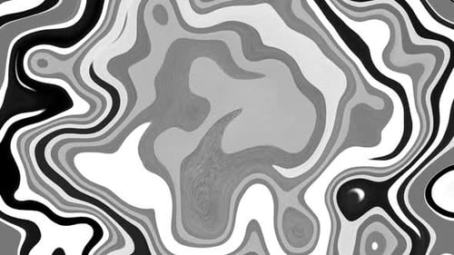 Fluid Monochrome Wavy Pattern Animation