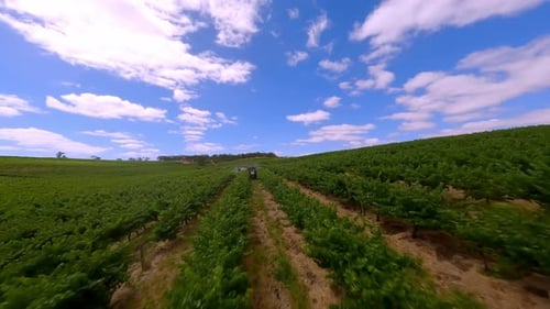 Tractor Driving in Field and Spraying Fertilizer