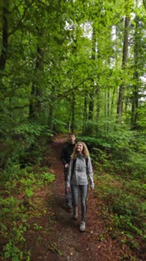 Man And Woman Hike Along A Lush Forest Trail With Backpacks, Enjoying The View. - aerial vertical