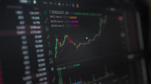 Market Chart Rising and Falling on Computer Screen