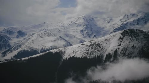 Panning right shot of a mountain ridge with snowy peaks and dark pine forests