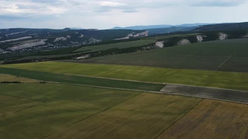 Aerial Lavender Fields Endless Rows of Blooming Lavender Fields on Summer Sunset Time Lavender Oil