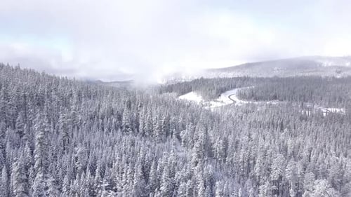 Aerial View of Snow-Covered Mountain Forest in Winter