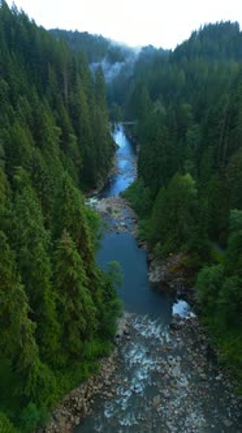 Luftaufnahme der wunderschönen Berglandschaft Ein Fluss fließt zwischen hohen Bäumen