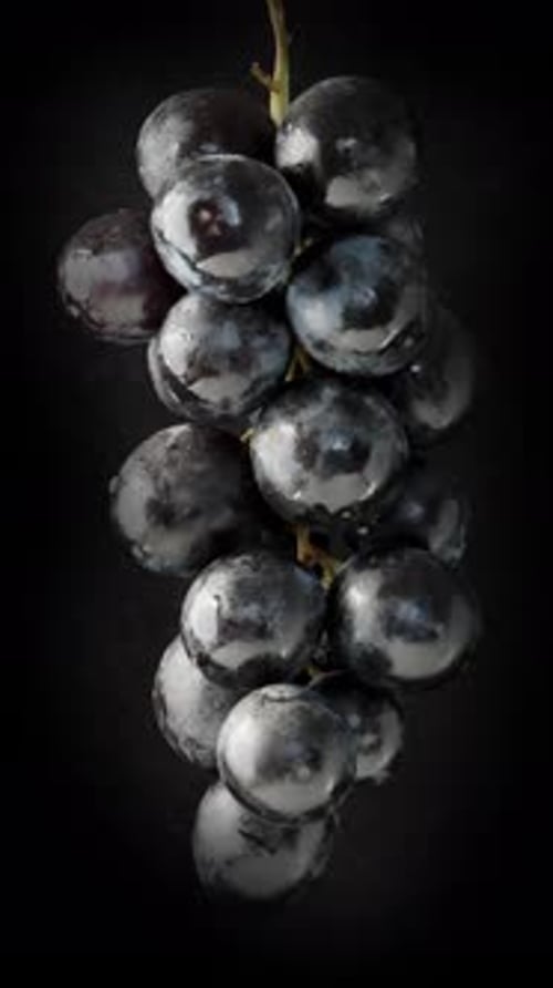 A bunch of black grapes rotate on a black background, close-up. Vertical video Social Media