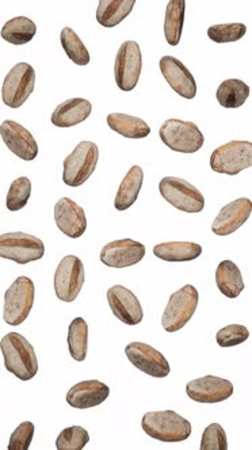 Realistic Bread Loaves Falling and Spinning on White Background