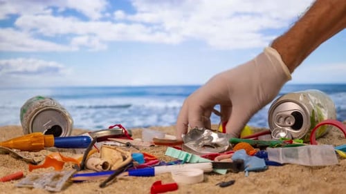 A Beach Full of Trash