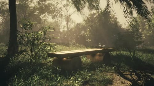 Serene Wooden Bench in a Tranquil Forest Glade Bathed in Morning Light
