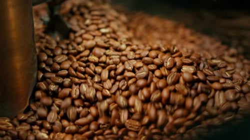 Coffee Beans Rotating in Industrial Roasting Machine