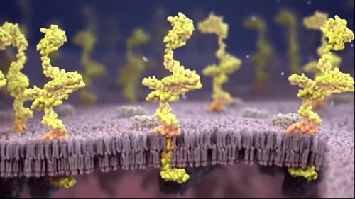 Recherche médicale montrant une illustration 3D détaillée d'anticorps