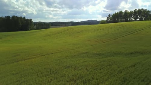 A Stunning Aerial View Captured in Real Time Showcasing Lush Green Fields and Beautiful Rolling