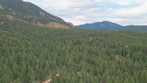 Drone flight over a remote mountain forest with moody clouds.
