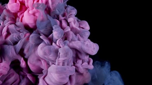 Abstract Pink and Blue Ink Swirl on Black